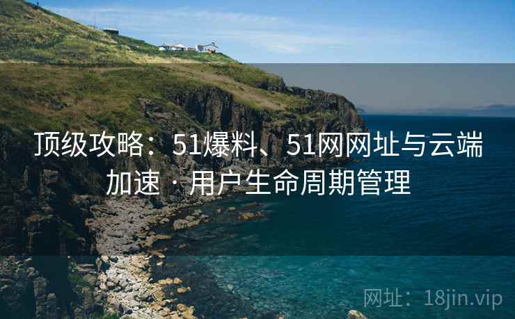 顶级攻略：51爆料、51网网址与云端加速 · 用户生命周期管理