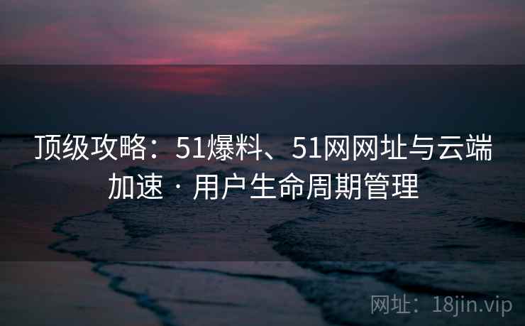 顶级攻略：51爆料、51网网址与云端加速 · 用户生命周期管理