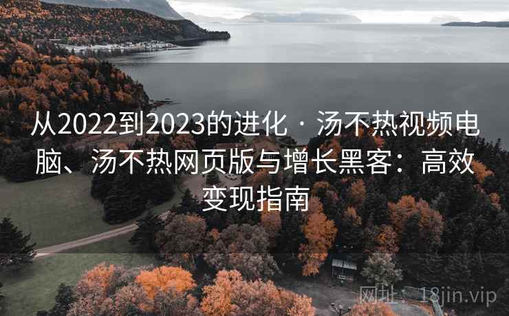 从2022到2023的进化 · 汤不热视频电脑、汤不热网页版与增长黑客：高效变现指南