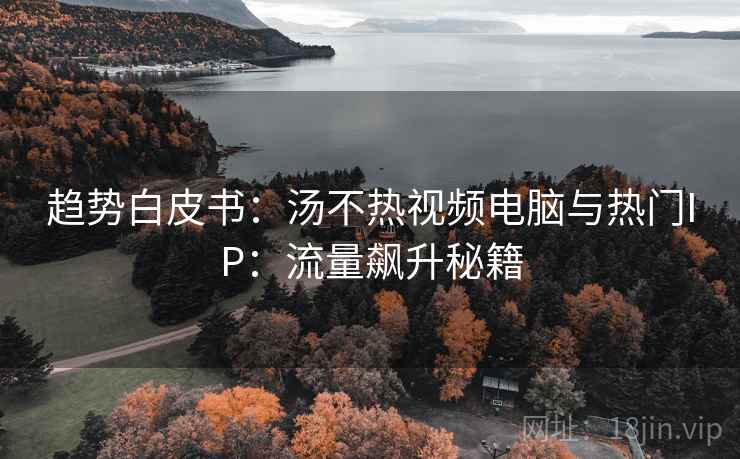 趋势白皮书：汤不热视频电脑与热门IP：流量飙升秘籍