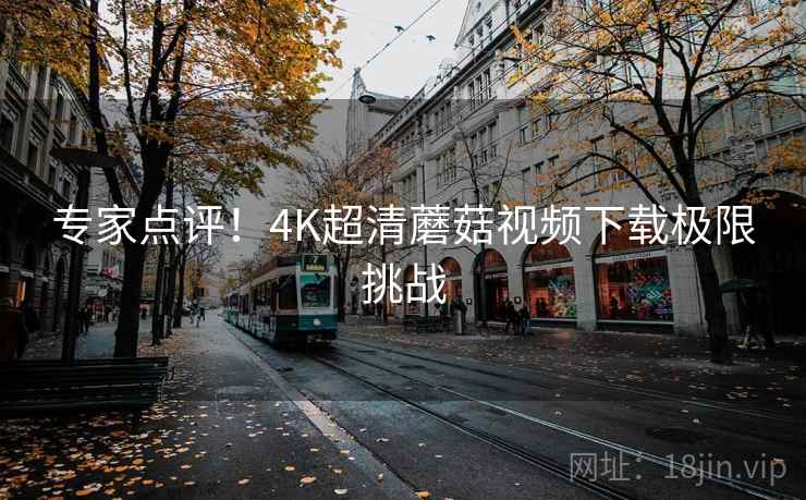 专家点评！4K超清蘑菇视频下载极限挑战