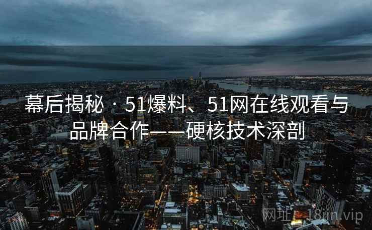 幕后揭秘 · 51爆料、51网在线观看与品牌合作——硬核技术深剖