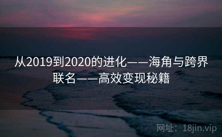 从2019到2020的进化——海角与跨界联名——高效变现秘籍