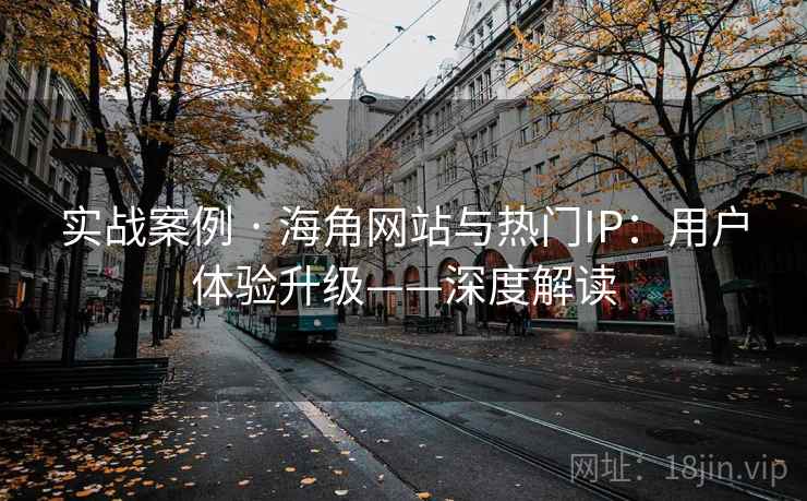 实战案例 · 海角网站与热门IP：用户体验升级——深度解读