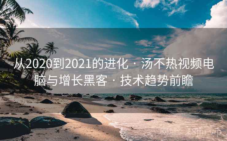 从2020到2021的进化 · 汤不热视频电脑与增长黑客 · 技术趋势前瞻