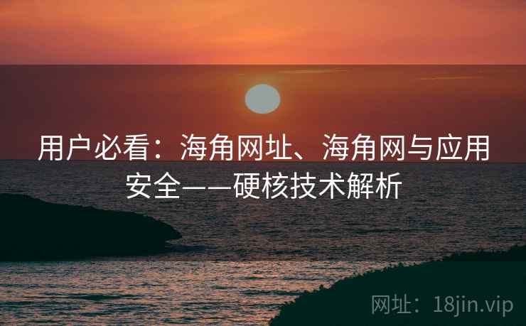 用户必看：海角网址、海角网与应用安全——硬核技术解析